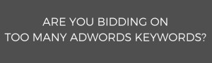 Bidding on too many AdWords keyords
