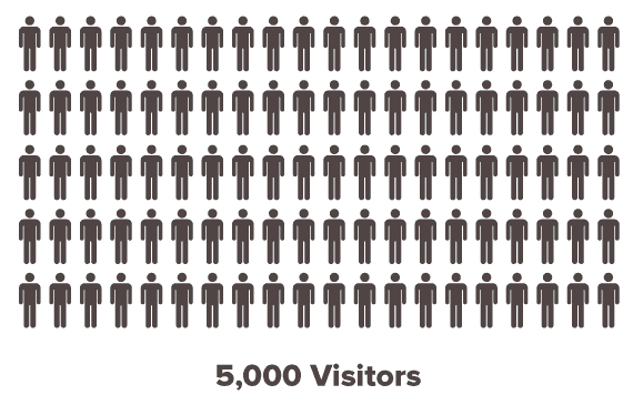 actual-visitors